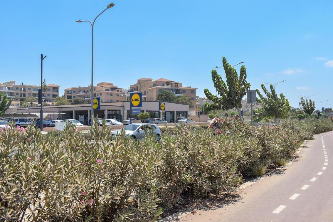 Timeless Cyprus Lejlighed Paphos Eksteriør billede