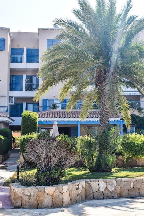 Timeless Cyprus Lejlighed Paphos Eksteriør billede