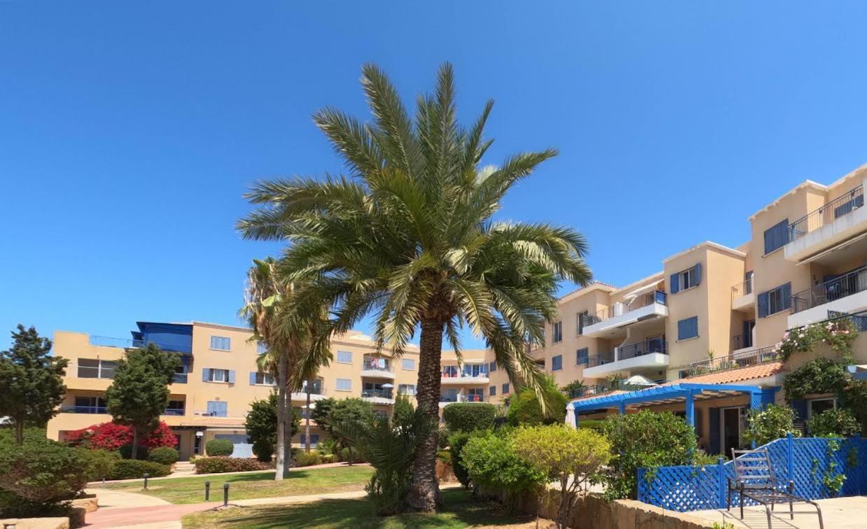 Timeless Cyprus Lejlighed Paphos Eksteriør billede